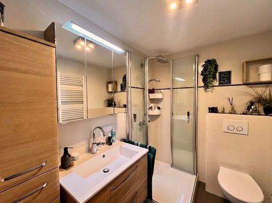 EG: Bad mit voll einklappbarer Duschkabine