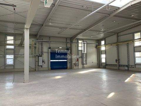 Fürth Halle, Fürth Hallenfläche