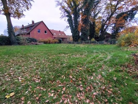 Blick auf das Grundstück 