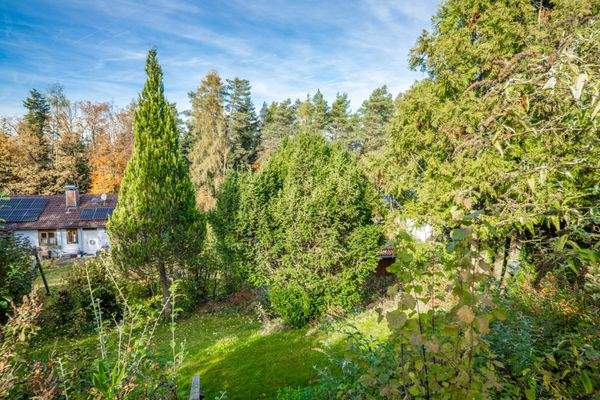 Blick von der Terasse in den Garten 