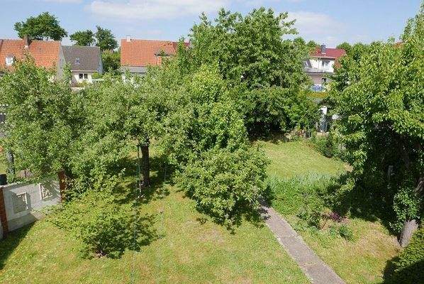 Blick aufs  Grundstück