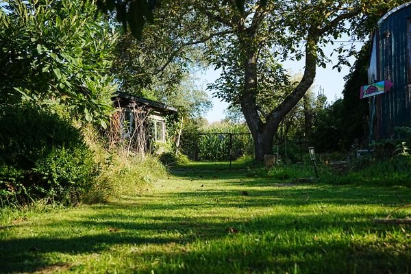 die Wiese hinter dem Haus