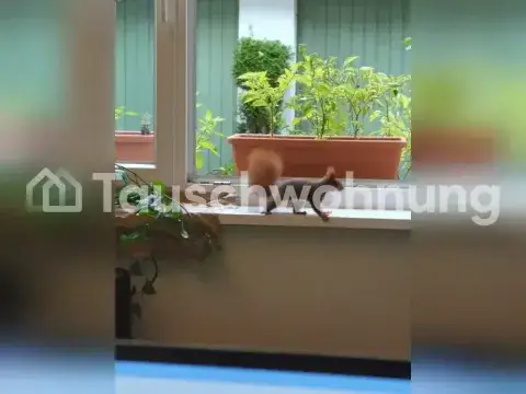 Karlsruhe Wohnungen, Karlsruhe Wohnung mieten