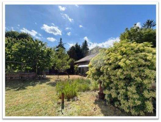 Blick in den Garten vom Haus 