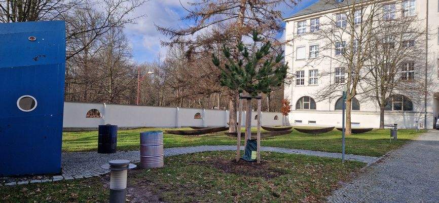 Grünfläche gegenüber Haus 2.jpg