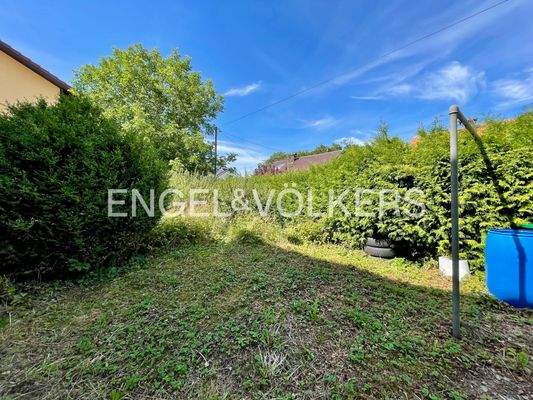 Garten hinter dem Haus