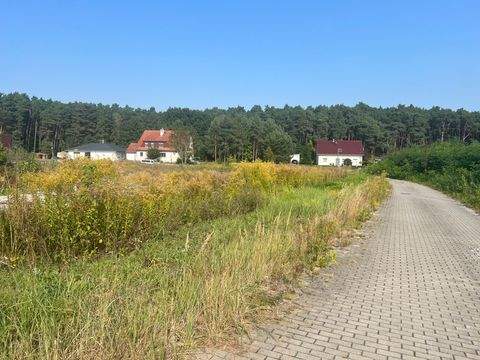 Reichenwalde Grundstücke, Reichenwalde Grundstück kaufen