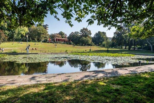 Weinbergspark in unmittelbarer Nähe