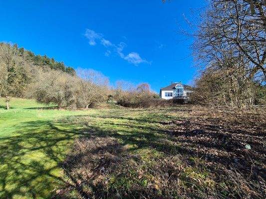 Seitenansicht von links