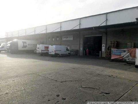 Potsdam Halle, Potsdam Hallenfläche