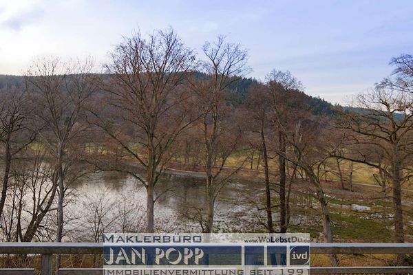 Blick vom Balkon zum Greizer Park