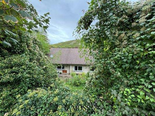 blick vom oberen Garten