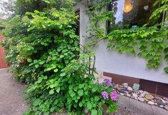 20260707_181820.jpg