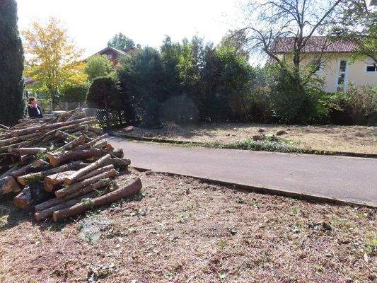 Der vordere Baugrund