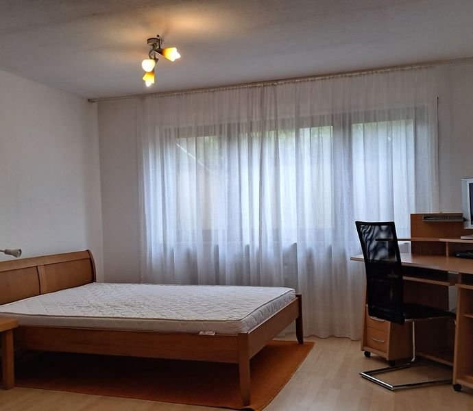 1 Zimmer Wohnung in Mannheim (Wallstadt)