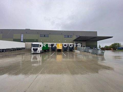 Schkeuditz Halle, Schkeuditz Hallenfläche