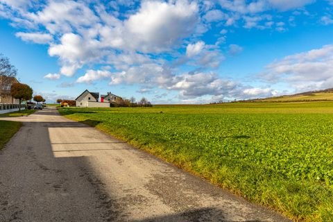 Kleinwilfersdorf Grundstücke, Kleinwilfersdorf Grundstück kaufen