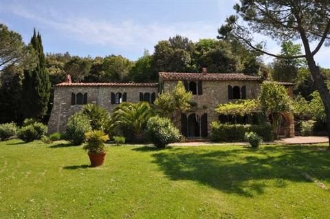 Massa Marittima Häuser, Massa Marittima Haus kaufen