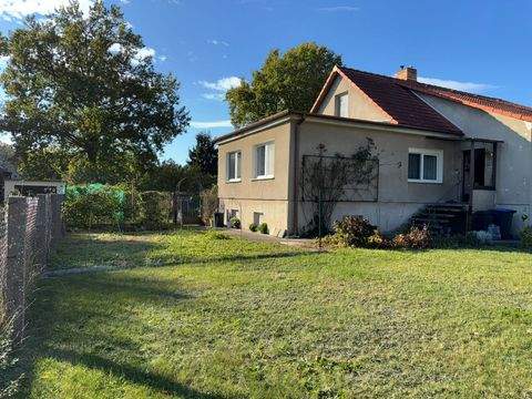 Eggesin Häuser, Eggesin Haus kaufen