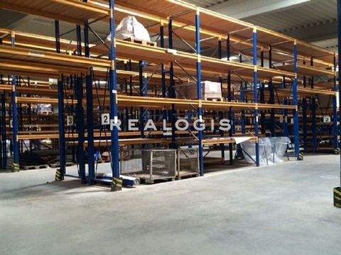 Delmenhorst Halle, Delmenhorst Hallenfläche