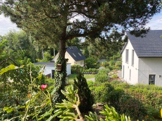 Blick von der Terrasse 1