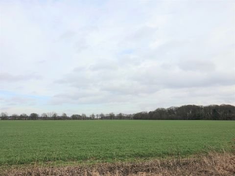 Vechta Bauernhöfe, Landwirtschaft, Vechta Forstwirtschaft