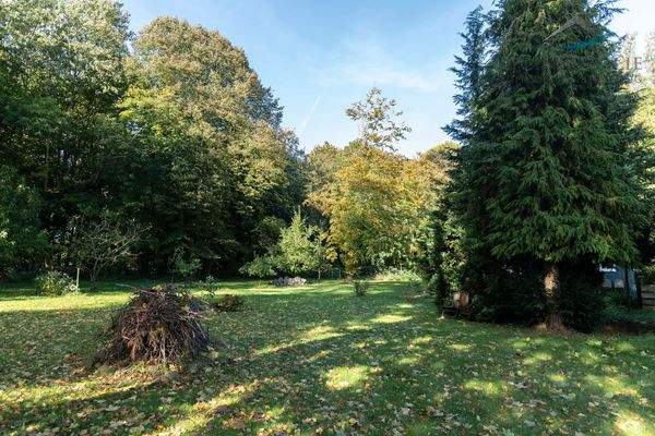 parkähnliches Gelände