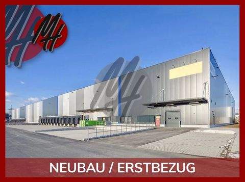 Osnabrück Halle, Osnabrück Hallenfläche