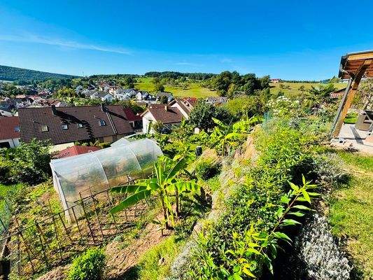 Garten_Blick in den Nutzgarten 2