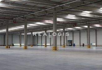 Beispielansicht Hallenfläche