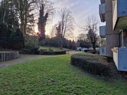 Fläche hinter dem Haus