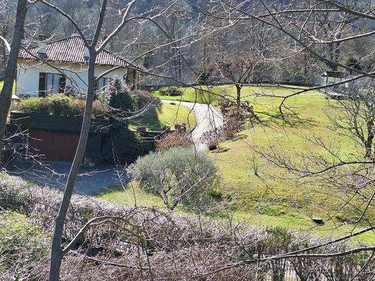 Einfahrt Garage und Fußweg 