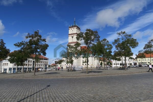 140.02-Blick auf den Markt