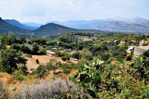 Dorgali (Provinz Nuoro) Grundstücke, Dorgali (Provinz Nuoro) Grundstück kaufen