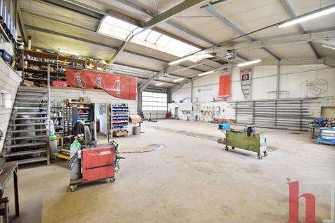 Badbergen Halle, Badbergen Hallenfläche