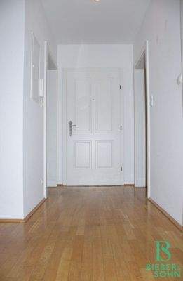 Blick Eingang/Vorraum