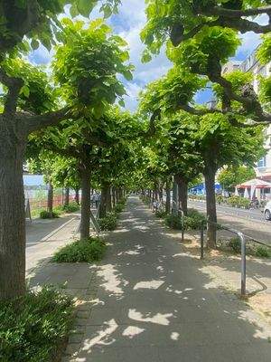 Fußläufig zur Rheinpromende