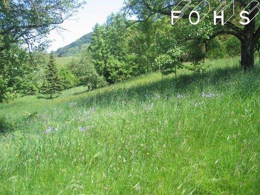 +Bad-Überk.Flur 220-4=3.245 m²Hinter dem Weiler 16