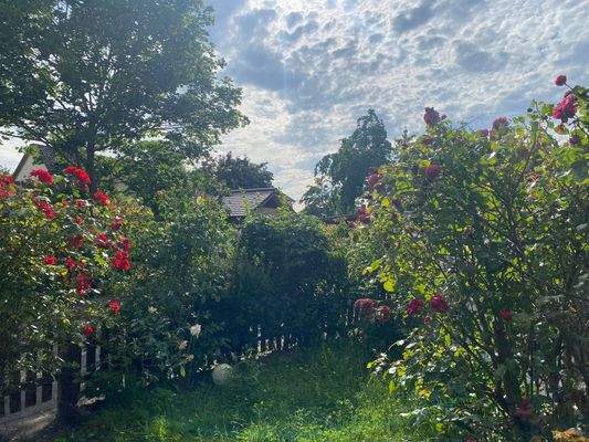 entzückender Garten