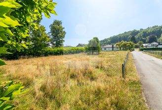 Platz für Ihr Traumhaus
