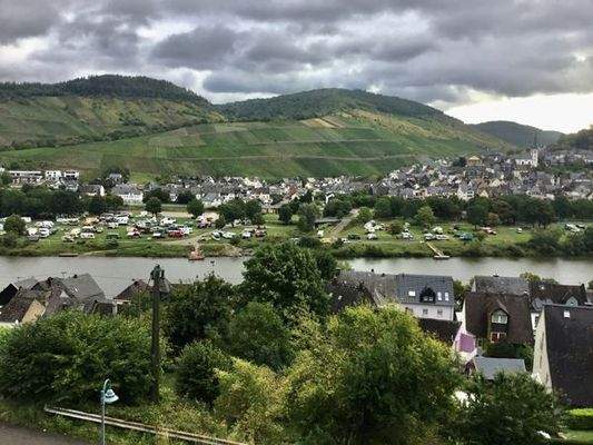 Moselblick 2