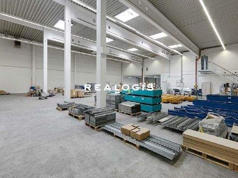 Norderstedt Halle, Norderstedt Hallenfläche