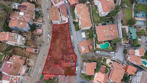 Istanbul Bauernhöfe, Landwirtschaft, Istanbul Forstwirtschaft