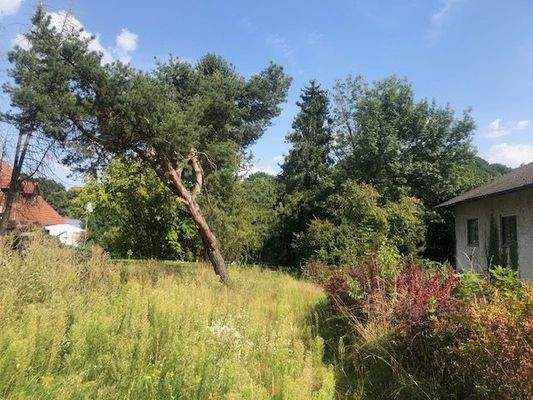 Grundstück mit Nachbargebäuden