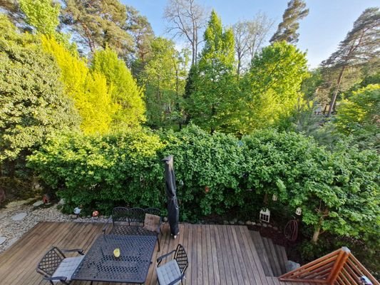 Blick auf die Terrasse und den üppig bewachsenen Garten