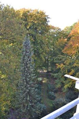 Blick von der Penthouseterrasse in den Park