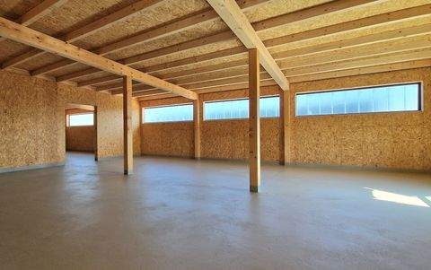 Dresden Halle, Dresden Hallenfläche