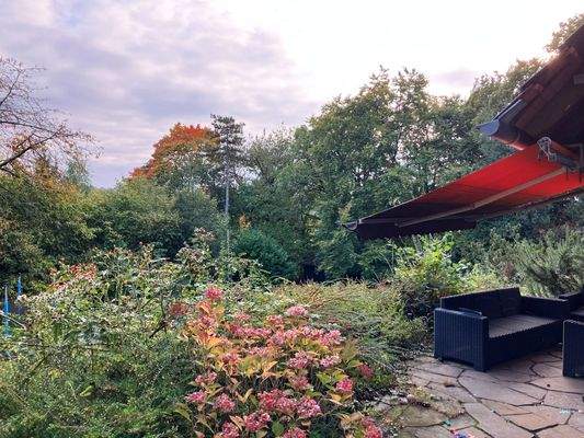 Garten + Terrasse