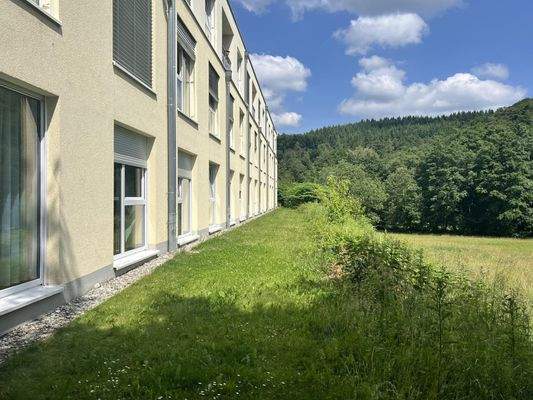 Ausblick in die Natur – Rundum grün und idyllisch