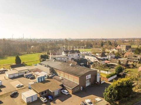 Moers Halle, Moers Hallenfläche